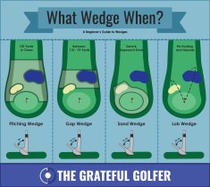 GG-infographic-what-wedge-when